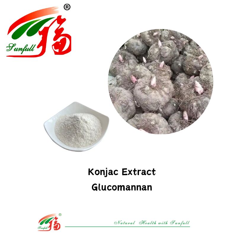 Suplementos dietéticos naturales de alta calidad Extracto de Konjca Glucomanano 85% Extracto de frijoles blancos en polvo para apoyar la pérdida de peso