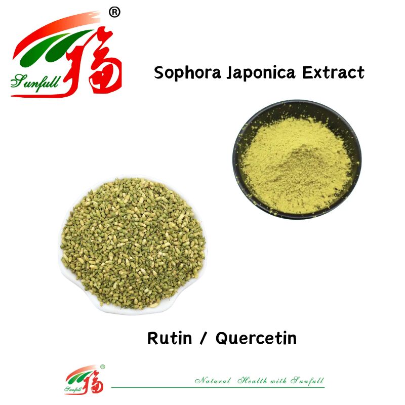 Cumple con las normas europeas Salud cardiovascular Suplementos alimenticios Quercetina 95% Rutin NF11 95% Extracto de Sophora Japonica