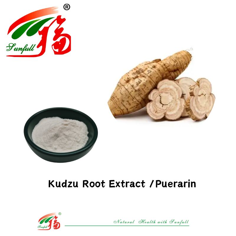 Muestra gratuita Extracto de raíz de kudzu de alta calidad Pueraria lobata Extracto de puerarina 10%-98% CAS 3681-99-0