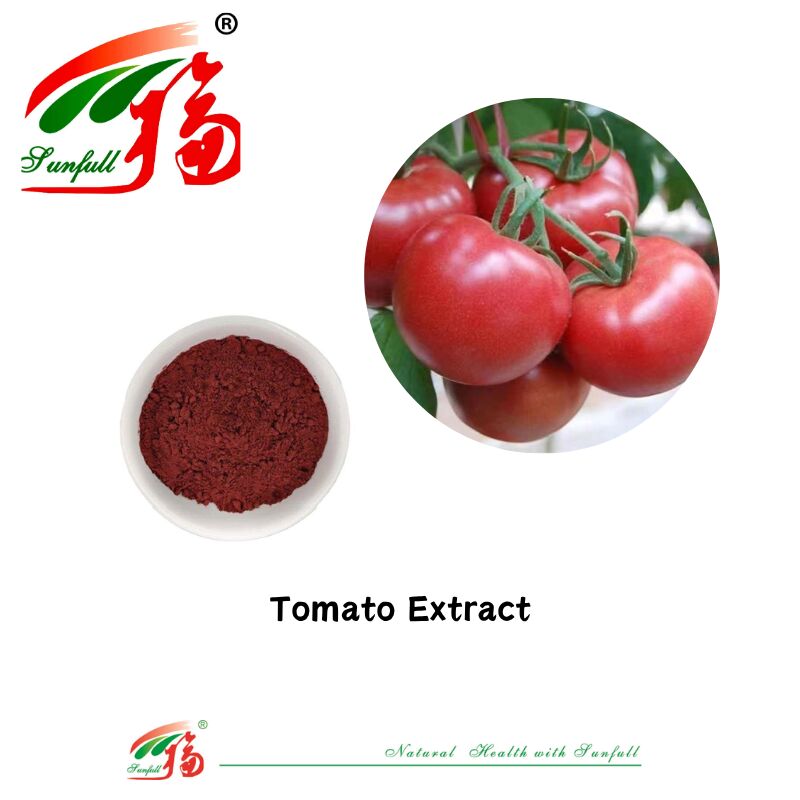 Alimentos para la salud Calidad alimenticia CAS 502-65-8 Precio al por mayor Pigmentos naturales Extracto de tomate 1%-10% Polvo de licopeno
