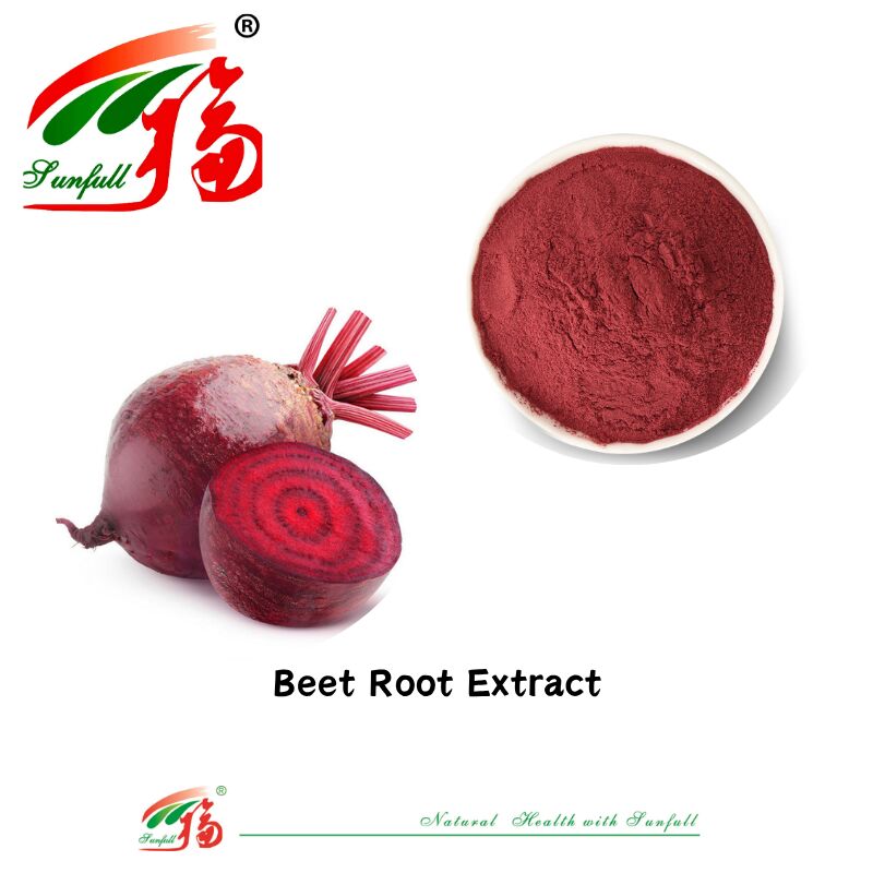 Extracto de planta 100% natural Pigmento natural Suplemento de extracto de jugo de raíz de remolacha seco fresco orgánico Betanina utilizada en alimentos y bebidas Extracto de raíz de remolacha