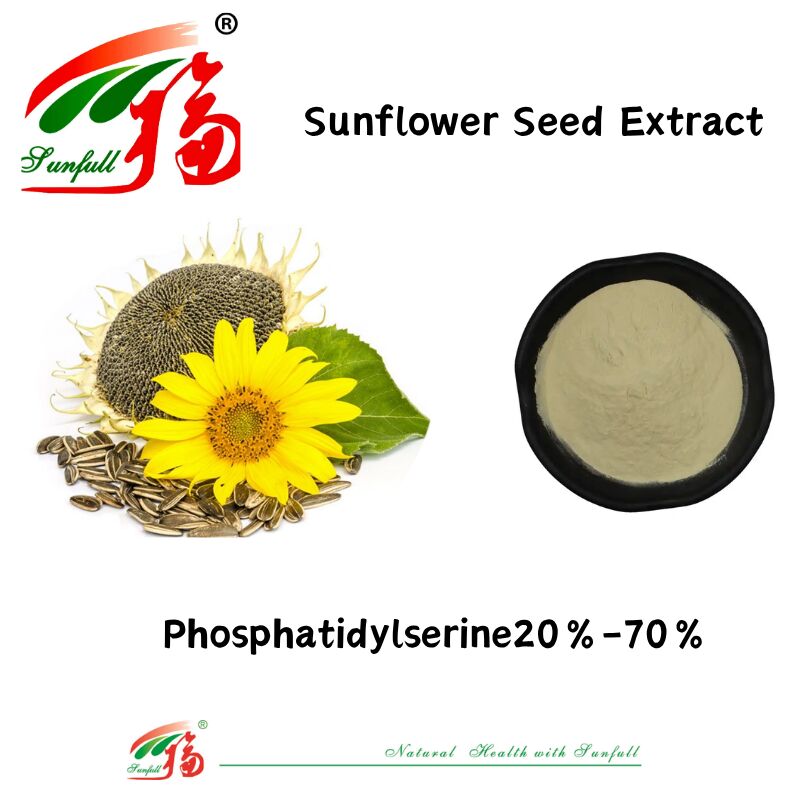 Suministro de la fábrica mayorista Suplemento nutricional Pérdida de peso Extracto de semilla de girasol 20%-70% fosfatidilserina