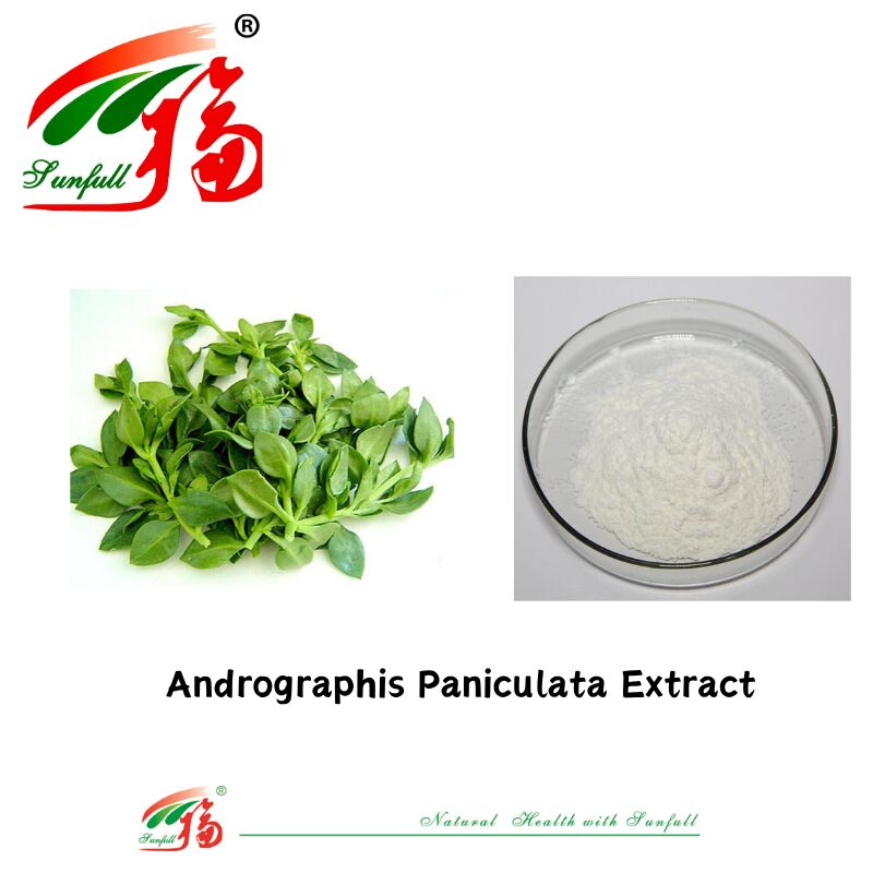 Suministro a granel Mejor precio Aditivo natural para piensos Suministro a granel Mejor precio Aditivo natural para piensos 95% Andrographis Paniculata Extract CAS no 5508-58-7