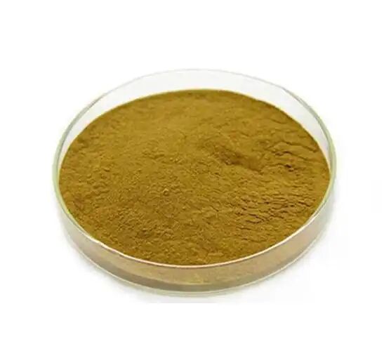 Grado alimenticio/grado alimenticio Suplementos nutricionales Extracto de Eucommia ulmoides/Extracto de granos de café verde Ácido clorogénico 5%-98%