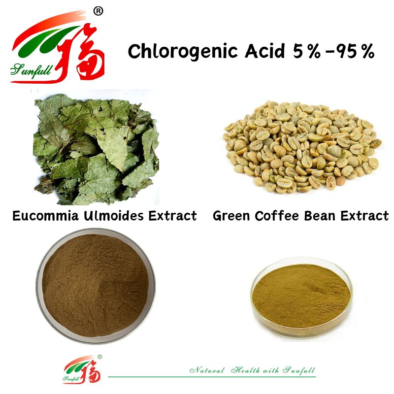 Grado alimenticio/grado alimenticio Suplementos nutricionales Extracto de Eucommia ulmoides/Extracto de granos de café verde Ácido clorogénico 5%-98%