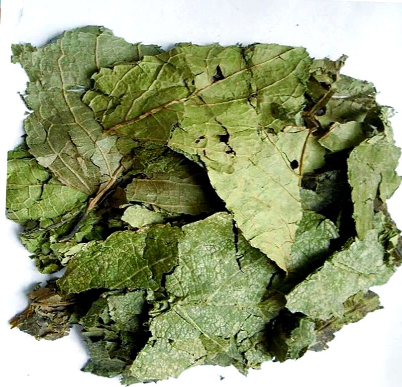 Grado alimenticio/grado alimenticio Suplementos nutricionales Extracto de Eucommia ulmoides/Extracto de granos de café verde Ácido clorogénico 5%-98%