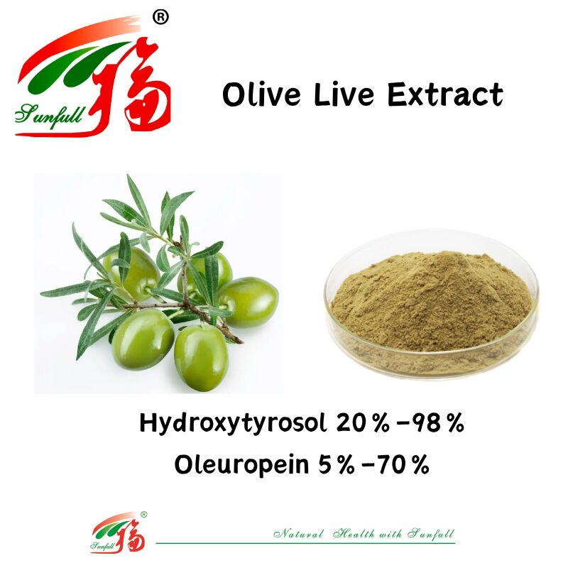 Suplementos de salud de grado alimenticio 100% natural Suministro de fábrica 80% Oleuropeína /5% ~ 20% Hydroxytyrosol Extracto de hoja de olivo