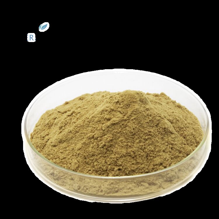 Suplementos de salud de grado alimenticio 100% natural Suministro de fábrica 80% Oleuropeína /5% ~ 20% Hydroxytyrosol Extracto de hoja de olivo