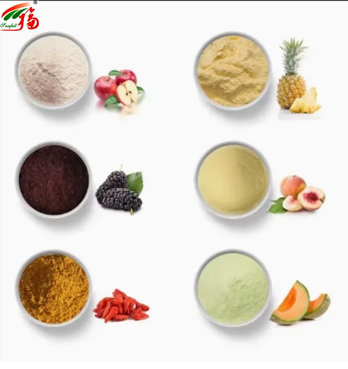 Ingredientes de frutas Alimentos saludables de alta calidad buen sabor y solubilidad en agua Bebidas Polvo liofilizado Polvo de frutas diversas