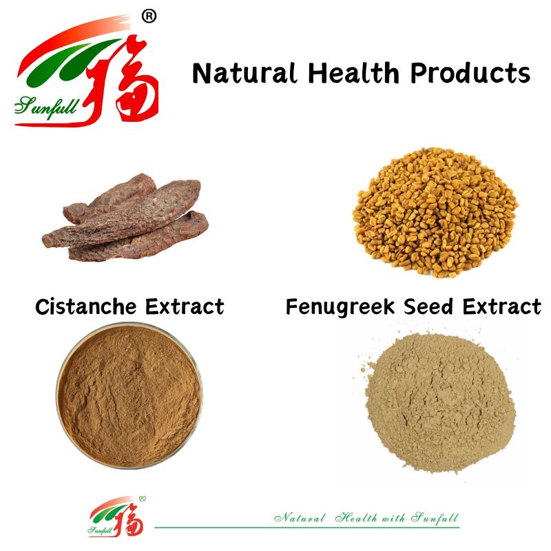 Promueva la salud de los hombres Extracto natural de semilla de fenogreco de alta calidad Saponinas 20% / Glucósidos feniletanoides 40% /Echinacósido 8% Extracto de cistanche