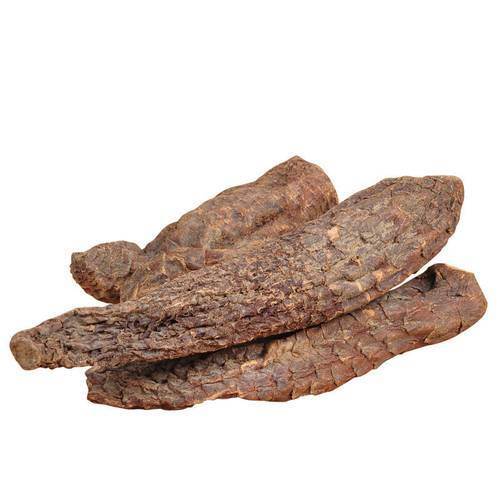 Promueva la salud de los hombres Extracto natural de semilla de fenogreco de alta calidad Saponinas 20% / Glucósidos feniletanoides 40% /Echinacósido 8% Extracto de cistanche