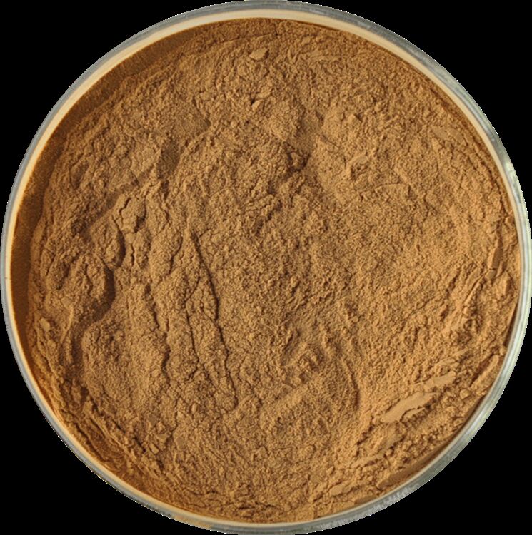 Promueva la salud de los hombres Extracto natural de semilla de fenogreco de alta calidad Saponinas 20% / Glucósidos feniletanoides 40% /Echinacósido 8% Extracto de cistanche