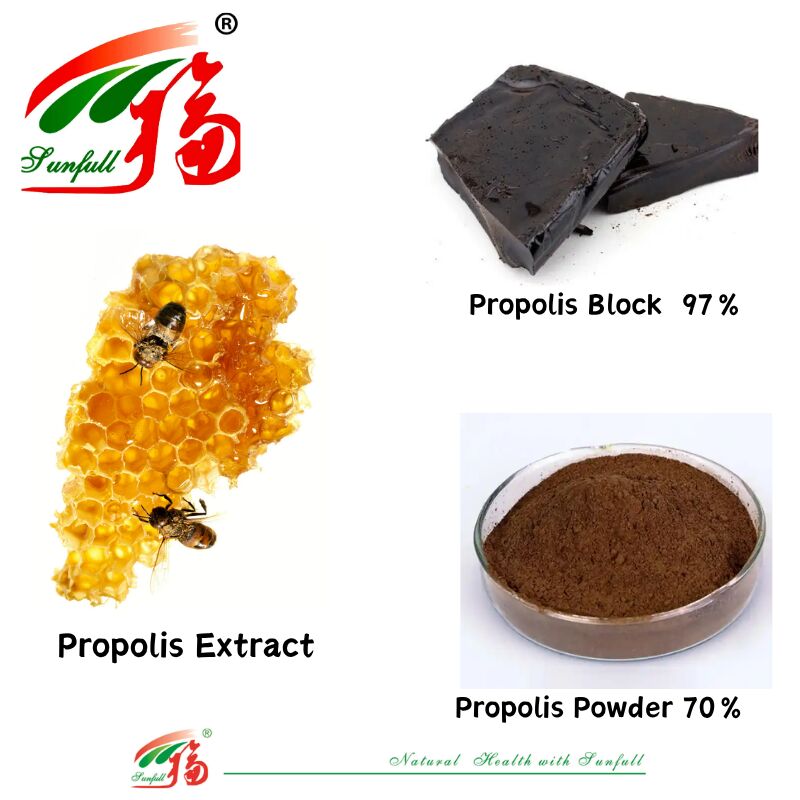 Suplementos alimenticios/Farmacéuticos ricos en flavonoides 10%-20% Bloque de própolis soluble en agua 97% / Polvo de própolis 70% Extracto de própolis