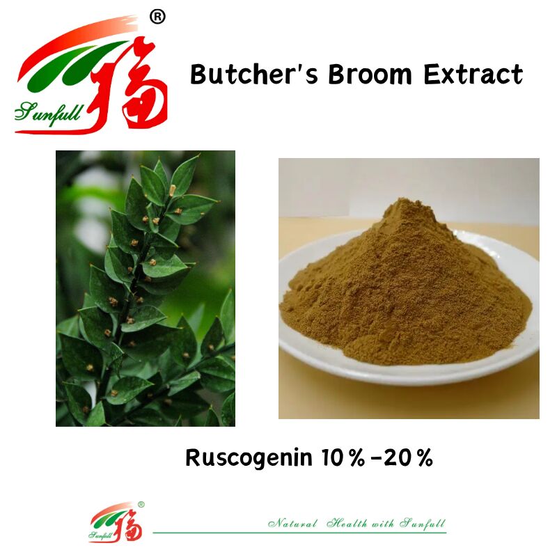 Extracto de raíz de Ruscus Aculeatus de alta calidad, precio de fábrica 10%-20% Ruscogenina Extracto de escoba de carnicero