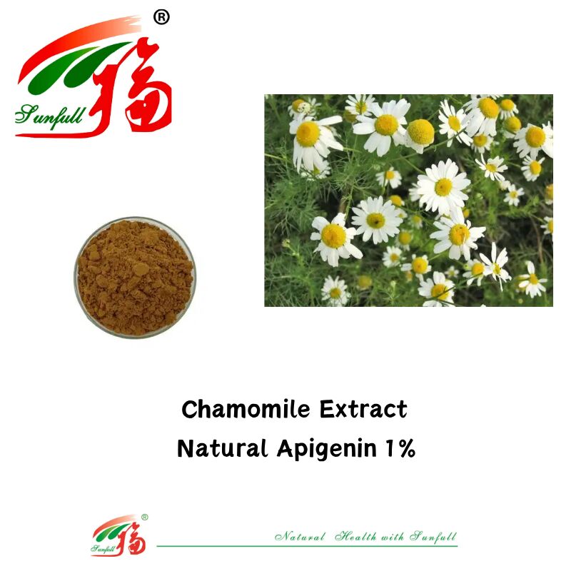 Extracto de semilla de apio 100% natural 98% Apigenina en polvo CAS 520-36-5 Apigenina de alta calidad 1% Extracto de manzanilla