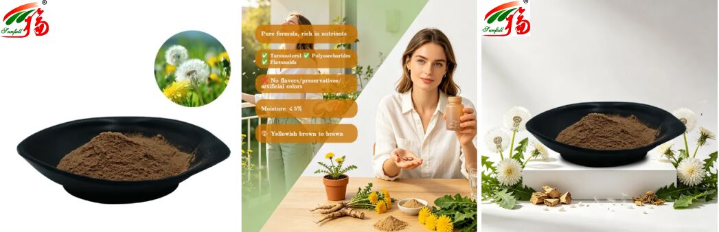 Hierba de diente de león de calidad alimentaria, extracto de hojas de diente de león en polvo, flavonoides naturales 5%-10%, extracto de diente de león orgánico