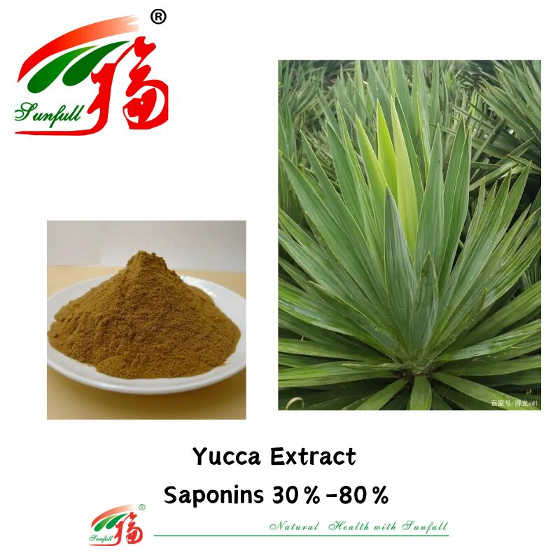 Desodorante ISO/Kosher Promueve la salud intestinal Ingrediente de alimentos para mascotas 10%-80% Saponinas Extracto de yuca