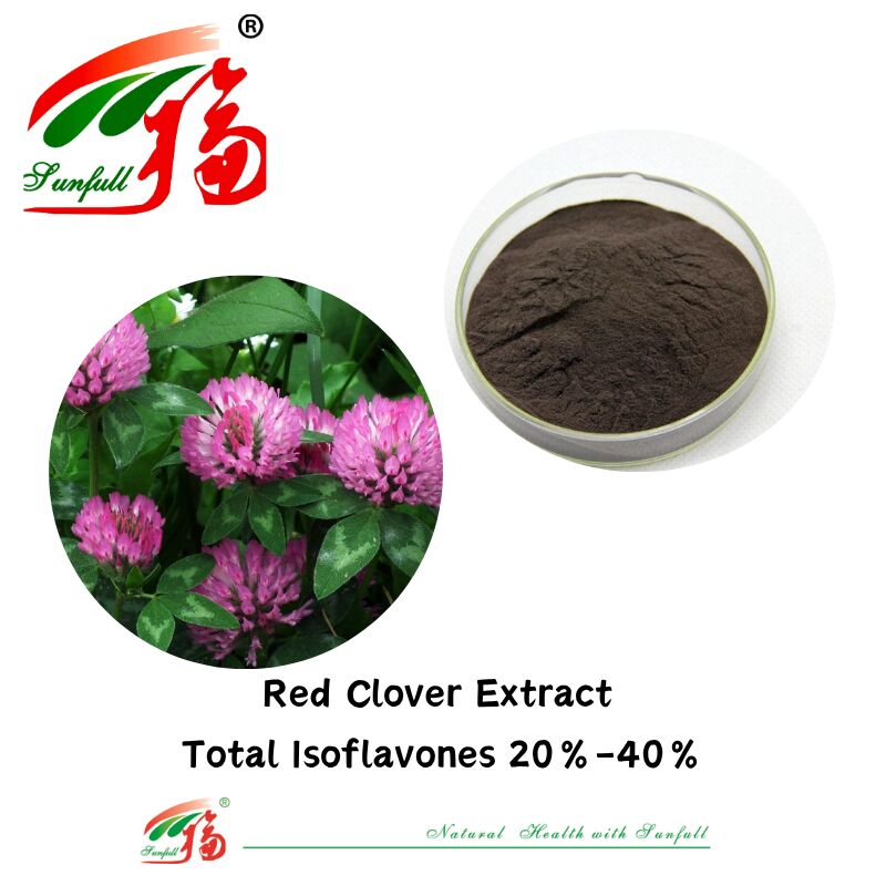 Hunan Sunfull para el equilibrio hormonal y el alivio Suplementos de salud puramente naturales Total orgánico Isoflavonas 20%-40% Extracto de trébol rojo