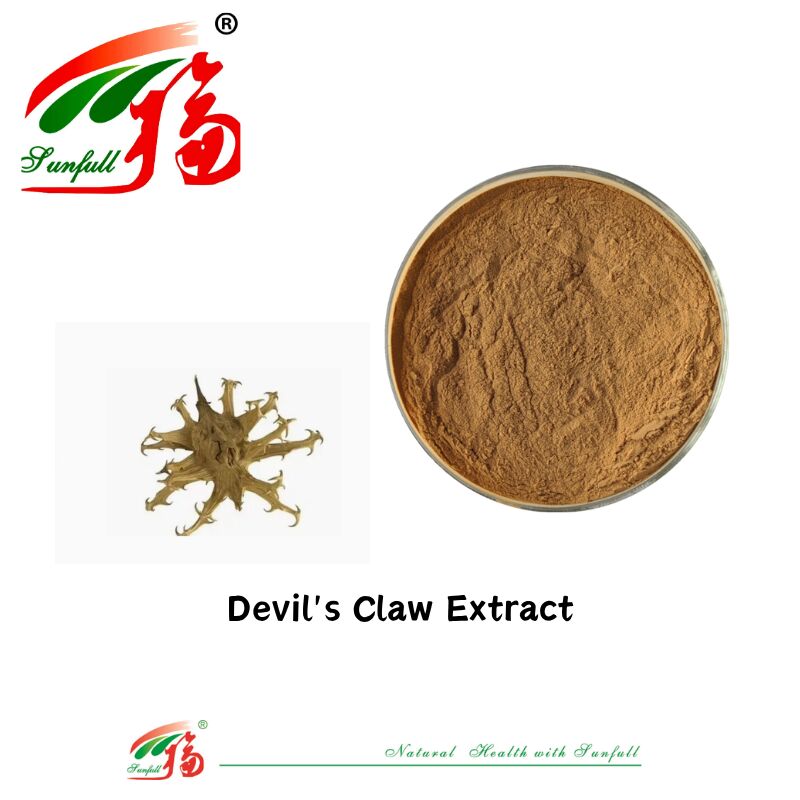 Natural Pure CAS 19210-12-9 Harpagophytum Procumbens polvo 5% extracto de garra del diablo del harpagósido