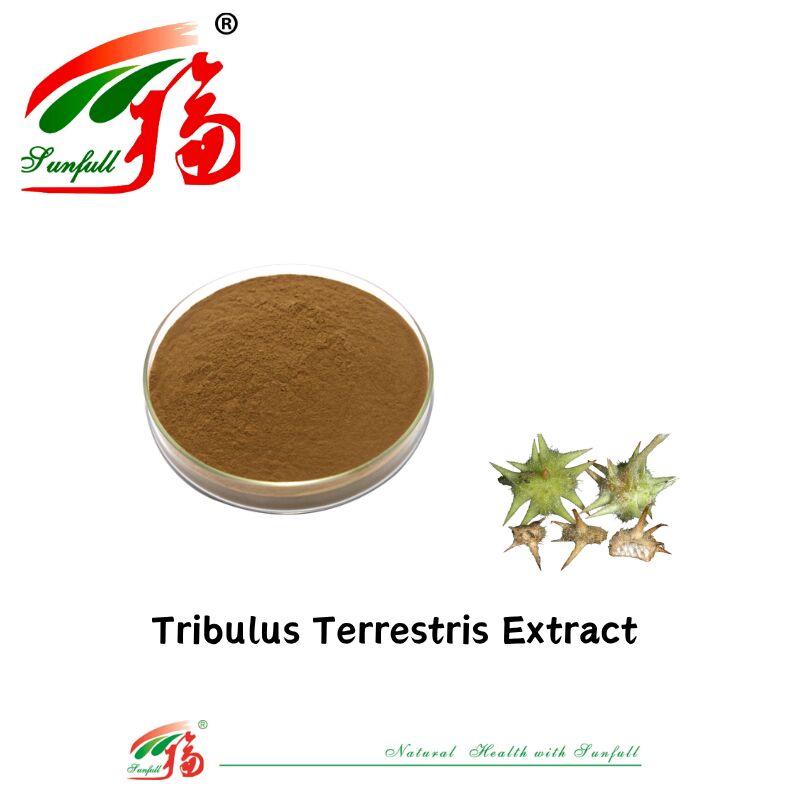 Fábrica de China, producto en oferta, extracto de Tribulus de grado alimenticio saludable para hombre, muestra gratis, polvo de extracto de Tribulus Terrestris, 40%-90% de saponinas