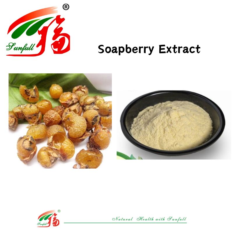 Sabón natural saludable Limpieza Detergente Cuidado de la piel y el cuidado del cabello 40%-70% Saponinas Extracto de jabón