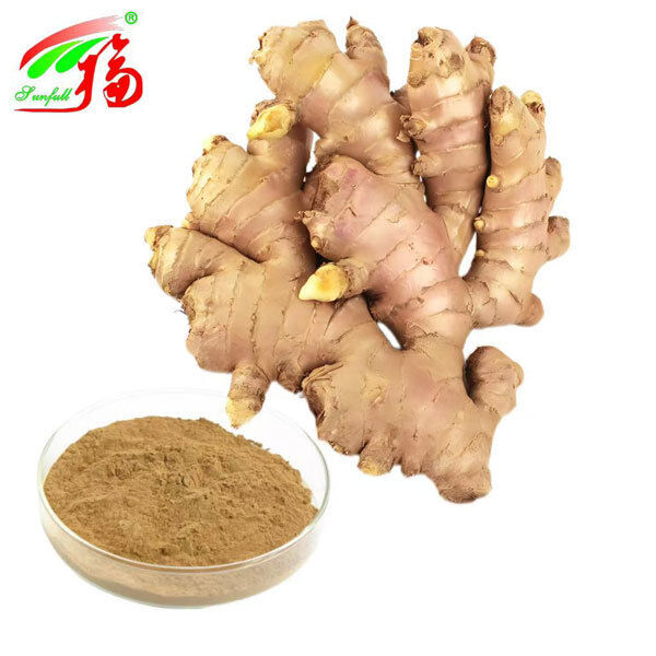Extracto de jengibre Extracto de raíz de jengibre Gingeroles 10% 5% 1% Comodidad digestiva Apoyo respiratorio y movilidad articular
