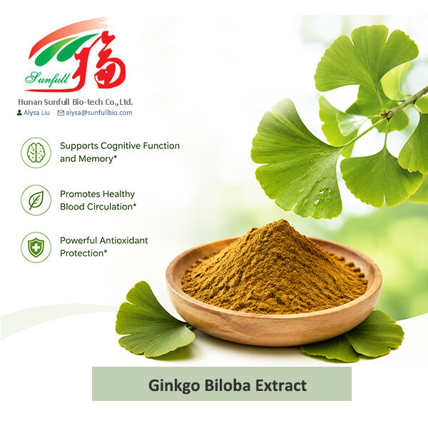 Extracto natural de Ginkgo Biloba Cp/ USP/ Ep/ Soluble en agua Tipo para uso en farmacéuticos de suplementos