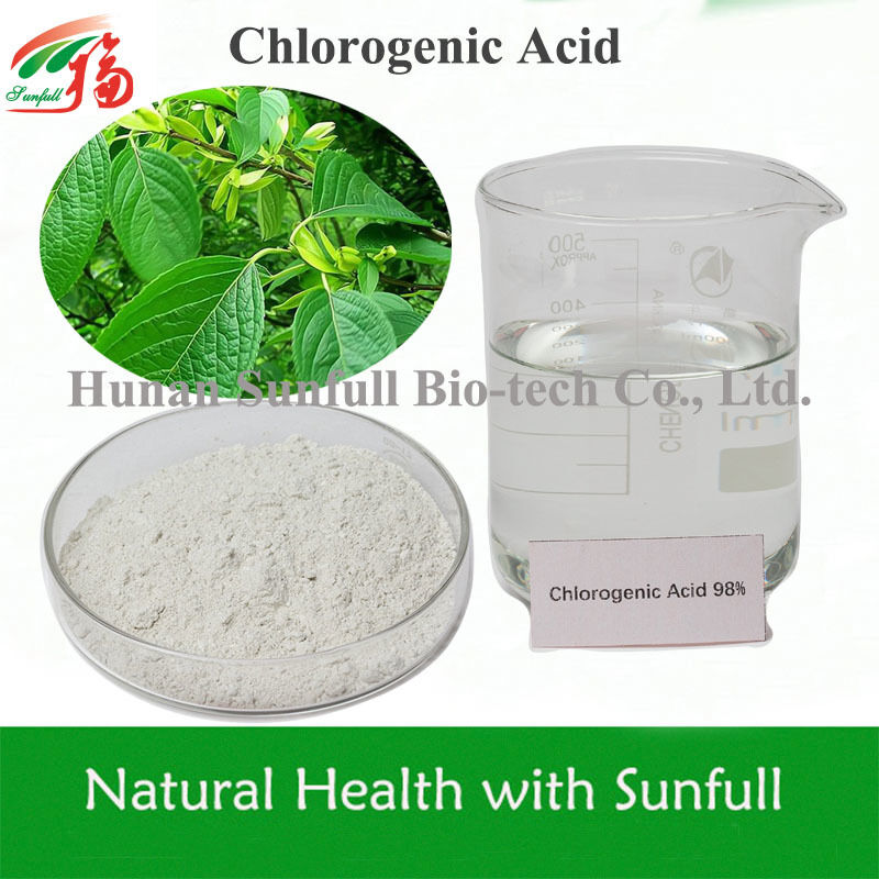 Ácidos Clorogénicos de Alta Pureza Antioxidante Natural para Suplementos de Salud CAS 327-97-9