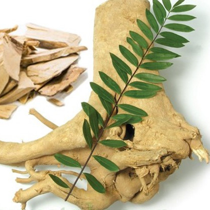 Tongkat viral anti Ali Supplement 2,5% Eurycomanone Eurycoma longifolia For Fatigue Recovery