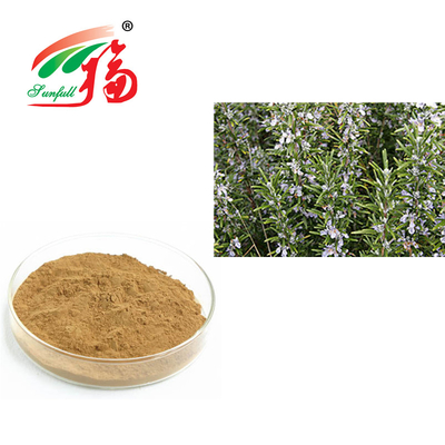 Rosemary Extract el 30% Rosmarinic ácido para el Rosmarinus antienvejecedor Officinalis