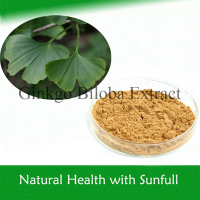 100% extracto de ginkgo biloba natural para bajar la presión arterial grado farmacéutico