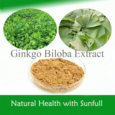 Ginkgo Biloba PE 24% Flavonas totales 6% Terpenos Lactonas 5 ppm para la salud del corazón