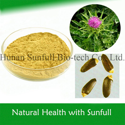 Extracto de cardo mariano 100% natural en polvo de semillas de Silybum Marianum para el crecimiento de células hepáticas