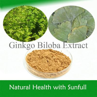 Extracto de Hojas de Ginkgo Biloba 24/6 CAS 90045-36-6 Cp USP561 Ep EC396