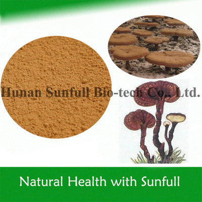 Polisacárido de hongo orgánico Extracto de hongo Reishi para alimentos saludables