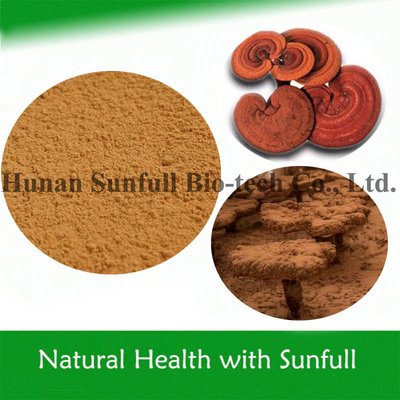 Alimentos saludables de alta calidad Ganoderma Lucidum Extracto de Reishi en polvo