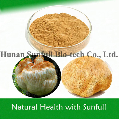 Hericium erinaceus en polvo extracto de melena de león para alimentos saludables