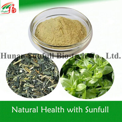 98% Purity Andrographis Paniculata Extract Andrographolide with Anti-Pathogenic Microbial and Anti-Inflammatory Effects