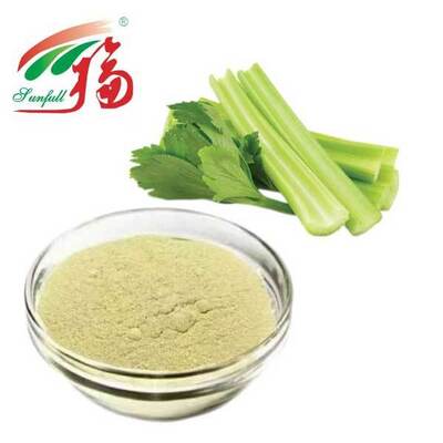 Celery Extract Premium Apigenin 50% 98% Manufacturer Supply Apigenin Powder