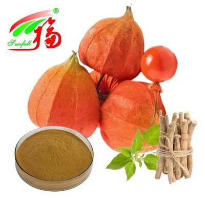 Extracto de Raíz de Ashwagandha Withania Somnifera Sudáfrica Withanolides 5% Productos para el Cuidado de la Salud Alimentaria