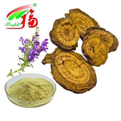 Ingredientes para el cuidado de la salud 10%~95% Baicalina Baicaleína en polvo Extracto de Scutellaria baicalensis Georgi Extracto de Radix Scutellariae Extracto de Baikal Skullcap
