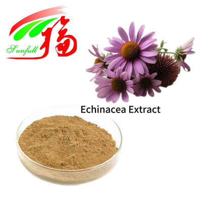 Echinacea Extract 4% Polyphenols 1% 4% Cichoric Acid Echinacoside Echinacea Purpurea Extract