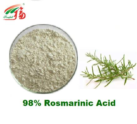 El 98% Rosmarinic Rosemary Extract Supplement For Antioxidant natural ácida