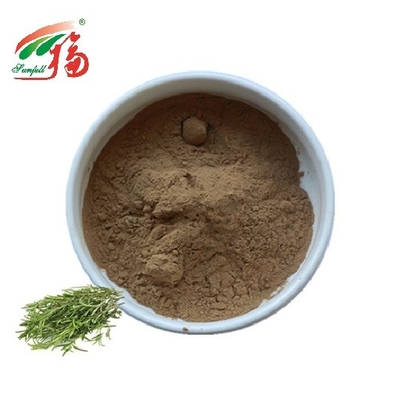 CLAR antioxidante de Rosemary Extract Powder Rosmarinic Acid para el aditivo alimenticio